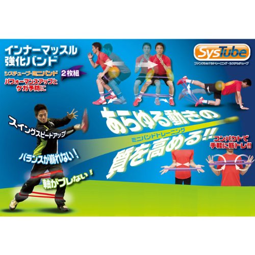 Amazon.co.jp: 体幹トレーニングの決定版 シスチューブ(SysTube)ミニ
